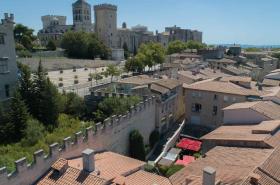 Mercure Pont d’Avignon Centre - photo 25